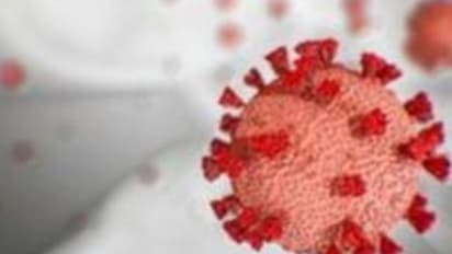 Karnataka registers highest single-day spike with 67 COVID-19 cases