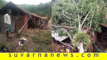 ಮಂಗಳೂರಿನ ವಿವಿಧೆಡೆ ಗಾಳಿ-ಮಳೆ, ಅಪಾರ ಹಾನಿ