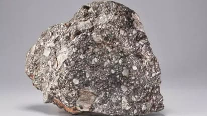 കണ്ടാല്‍ വെറുമൊരു കല്ല്, വിലയോ കോടികള്‍ !