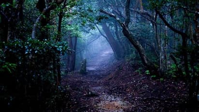 ಹೆಣ್ಣಿನ ವಿಚಿತ್ರ ಕೂಗು ಕೇಳುವ ಈ ಭಯಾನಕ ಕಾಡಿಗೆ ಹೋದವರು ಮರಳೋಲ್ವಂತೆ!