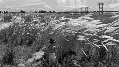 অভাবের মধ্যেই পথের পাঁচালীর স্বপ্ন বোনা, কোনও চিত্রনাট্য ছাড়াই চলেছিল শ্যুট, গল্পে নেই যে অংশের ছাপ