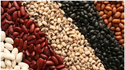 പ്രമേഹമുള്ളവർ പയർവർഗങ്ങൾ കഴിക്കണമെന്ന് പറയുന്നതിന്റെ കാരണം...