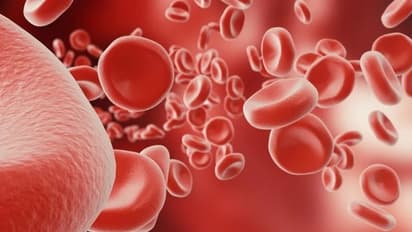 വിളര്ച്ചയുണ്ടോ? രക്തത്തിലെ ഹീമോഗ്ലോബിന് വര്ധിപ്പിക്കാന് കഴിക്കാം ഈ ഭക്ഷണങ്ങള്...