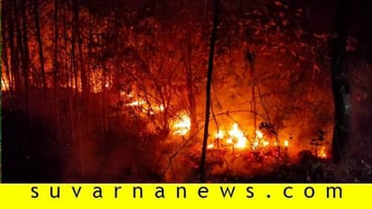 ಮುಂಡಗೋಡ ಹೊರವಲಯದ ಅರಣ್ಯಕ್ಕೆ ಬೆಂಕಿ