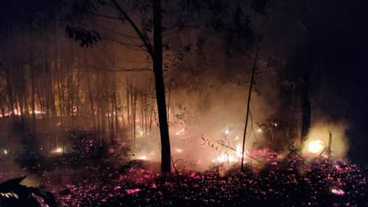 ಉಡುಪಿ ಬ್ರಹ್ಮಾವರದಲ್ಲಿ ತಡರಾತ್ರಿ ಹೊತ್ತಿ ಉರಿದ ಕಾಡು..!