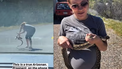 നടുറോഡിൽ കിടന്ന പാമ്പിനെ രക്ഷിച്ച് ഗർഭിണി; വീഡിയോ