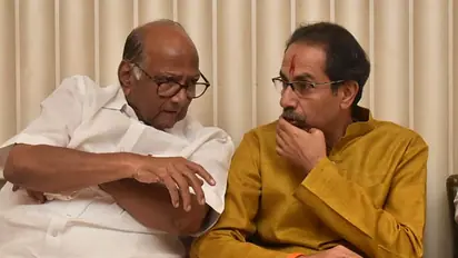 'NCP, Thackeray-led Sena, Congress, will together contest upcoming election', confirms Sharad Pawar
