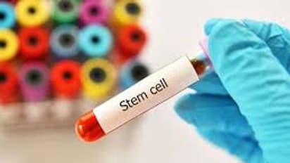 குட் நியூஸ்: அபுதாபியில் அற்புதம் காட்டும் ‘ஸ்டெம் செல்’ சிகிச்சை... 73 பேர் பூரண குணம்...!