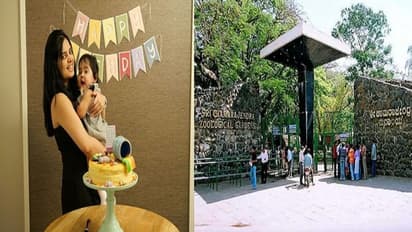 ಲಾಕ್ಡೌನ್: ಮೈಸೂರು ಝೂನ ಪ್ರಾಣಿಗಳ ರಕ್ಷಣೆಗೆ ಅಮೆರಿಕಾದಿಂದ ಬಂತು ಹಣ..!