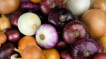 താരനകറ്റാന്‍ പരീക്ഷിക്കാം ഈ വഴികള്‍...