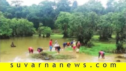 ಲಾಕ್ಡೌನ್ ಸಂಕಷ್ಟ: 3 ಸಾವಿರಕ್ಕೂ ಹೆಚ್ಚು ಕಾರ್ಮಿಕರಿಗೆ ನೆರವಾದ ನರೇಗಾ