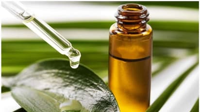 পুজোর আগেই রুক্ষ ত্বক-কে জানান বিদায়, ঘরোয়া টোটকায় ত্বকে ফেরান তারুণ্যের ছোঁয়া