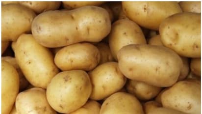 আলুর বাজারে আগুন, একলাফে বাড়ল ১৫০ টাকা