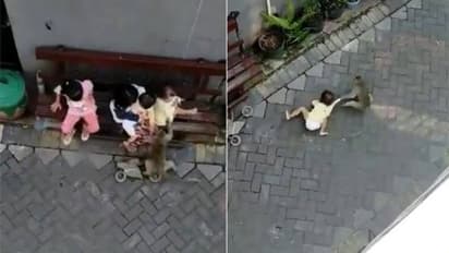 മോട്ടോര് സൈക്കിളിലെത്തി കുട്ടിയെ തട്ടിക്കൊണ്ടുപോകുന്ന കുരങ്ങനോ! വീഡിയോ വൈറല്