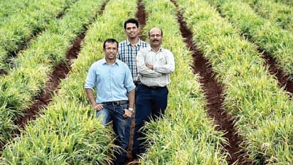 ഇവരുടെ തോട്ടത്തില് വളരുന്നത് ചന്ദനവും മഹാഗണിയും; 20 കോടി വിറ്റുവരവുള്ള കമ്പനിയുടെ ഉടമകള്