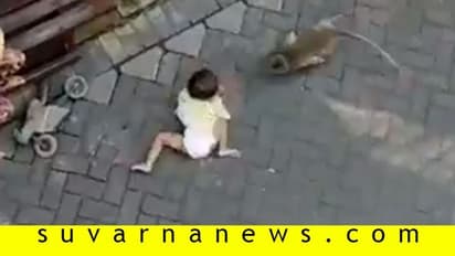 ಬೈಕ್ ಓಡಿಸ್ಕೊಂಡು ಬಂದ ಕೋತಿ, ಮಗುವನ್ನೇ ಎಳ್ಕೊಂಡೋಯ್ತು, ವಿಡಿಯೋ ವೈರಲ್!