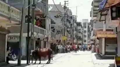 মোদীর রাজ্য থেকে বাড়ি ফেরার দাবি, অভিবাসী শ্রমিক ও পুলিশের সংঘর্ষ, দেখুন সেই ভিডিও