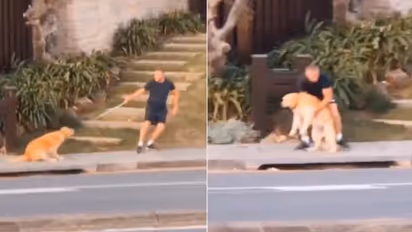 'ഞാന്‍ വരുന്നില്ലെന്നേ..' ; ഇത് ലോക്ഡൗണ്‍ കാലത്തെ 'സ്‌പെഷ്യല്‍' വീഡിയോ...