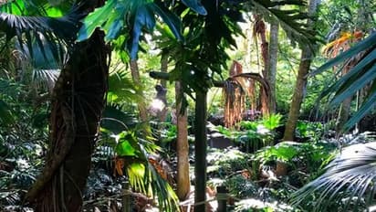 'ഈ മനോഹരതീരത്ത്...'; ആള്‍പ്പാര്‍പ്പില്ലാത്ത ദ്വീപില്‍ ക്വാരന്റൈന് പോയ ആള്‍ അറസ്റ്റില്‍