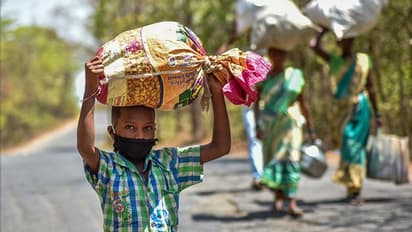 இந்தியா சந்திக்க உள்ள மற்றொரு கொடூரம்..!! 13 கோடி பேருக்கு வேலை பறிபோகும் அபாயம்..!!