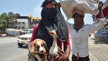 లాక్డౌన్ ఎఫెక్ట్: భుజాలపై కూతురితో 900 కి.మీ నడిచిన తల్లి