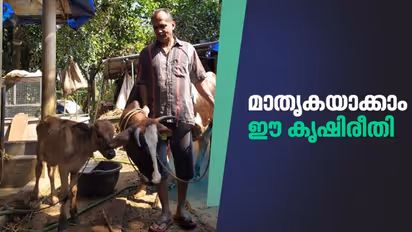 ലോക്ക്ഡൗണ് കാലത്ത് നാഗേശ്വരന് വിറ്റത് ഏകദേശം 10,000 പച്ചക്കറിത്തൈകള്