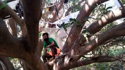 200 കിലോമീറ്റര് താണ്ടി നാട്ടിലെത്തി; പിന്നാലെ മുള കൊണ്ട് കുടിലുണ്ടാക്കി, മരത്തെ ക്വാറന്റൈനാക്കിയ തൊഴിലാളി