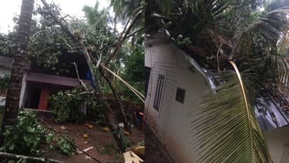 ശക്തമായ മഴയും കാറ്റും; താമരശ്ശേരി മേഖലയിൽ കനത്ത നാശനഷ്ടം
