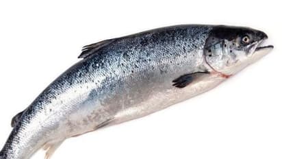 മാസ്‌കില്ലാതെ എന്തിനാണ് മരുന്ന് വാങ്ങാനെത്തിയതെന്ന് നഴ്സ്; പിന്നാലെ മീൻ വാങ്ങി നൽകി ഗ്രാമീണൻ !