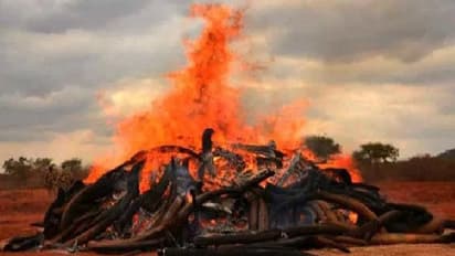 लॉकडाउन में परदेश गए बेटे की मौत, घर नहीं आ पाया शव, पिता ने पुतला बनाकर किया अंतिम संस्कार