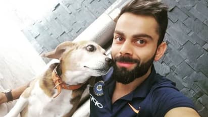 11 വര്ഷം കൊണ്ട് ആയുഷ്കാല ബന്ധം; ബ്രൂണോയ്ക്ക് നിത്യശാന്തി നേര്ന്ന് കോലി