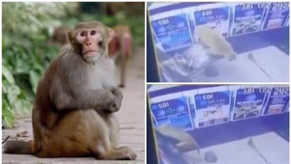 എടിഎം മെഷീന് തകര്ത്ത് കുരങ്ങന്; അമ്പരന്ന് ദില്ലി പൊലീസ്, ദൃശ്യങ്ങള് പുറത്ത്