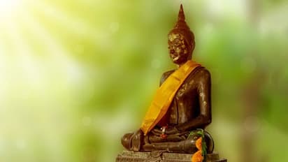 বাড়িতে বুদ্ধমূর্তী কেবল সৌন্দর্য্য বাড়ায় না, চাকরি থেকে সম্পর্ক বয়ে আনে সুদিন