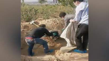 బతికుండగానే తల్లికి సమాధి.. మూడురోజుల తర్వాత తవ్వి చూస్తే...