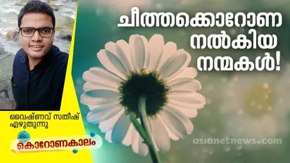 ചീത്തക്കൊറോണ നല്‍കിയ നന്‍മകള്‍!