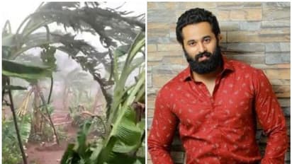 ഇവിടെ വാഴ വാഴില്ലെന്ന് തോന്നുന്നു; കൃഷിയിടത്തിലെ ഫോട്ടോ പങ്കുവെച്ച് ഉണ്ണി മുകുന്ദൻ