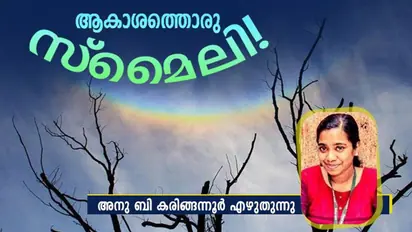 കണ്ടിട്ടുണ്ടോ, തല തിരിഞ്ഞ മഴവില്ല്?