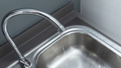 വീട്ടിലെ പാറ്റ ശല്യം അകറ്റാൻ ശ്രദ്ധിക്കേണ്ട ചില കാര്യങ്ങൾ