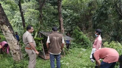 കടുവയെ പിടിക്കാൻ എസ്റ്റേറ്റിൽ കൂട് സ്ഥാപിച്ച് വനംവകുപ്പ്; ചിത്രങ്ങൾ കാണാം