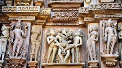 ಮೊಸಳೆ, ಹೈನಾ, ಹಾವು ಸತ್ತರೆ ಅವರು ಸೆಕ್ಸ್‌ಗೆ ಹೇಳಬೇಕು ಗುಡ್‌ ಬೈ; ಏನಿದು ನಿಗೂಢ ?