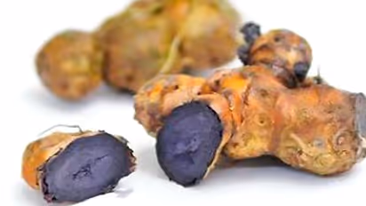 Astro tips: உங்கள் வீட்டில் நேர்மறை ஆற்றல் கிடைக்க கருப்பு மஞ்சள் கொண்டு இந்த பரிகாரம் செய்யுங்கள்!