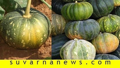 ಲಾಕ್ಡೌನ್: ಬಡವರಿಗೆ ಕುಂಬಳಕಾಯಿ ಹಂಚಿದ ಕಾಂಗ್ರೆಸ್ ಮುಖಂಡ