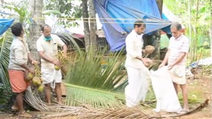 ദുരിതാശ്വാസ നിധിയിലേക്ക് പണം കണ്ടെത്താനായി ഡിവൈഎഫ്ഐയുടെ തേങ്ങാപ്പിരിവ്