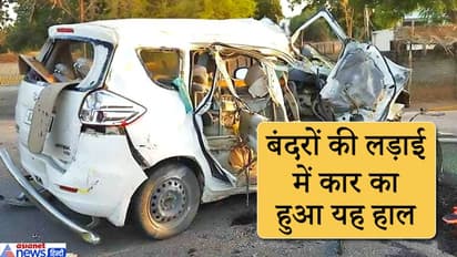 स्पीड से जा रही थी कार, अचानक दो बंदर लड़ते हुए कार पर कूद पड़े, रेलिंग का सरिया हुआ कार के आरपार