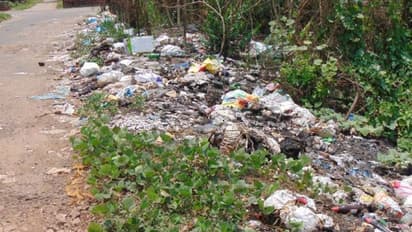 മഴക്കാല ശുചീകരണം എങ്ങുമെത്തിയില്ല, മാന്നാറിലെ റോഡരികുകളിൽ മാലിന്യങ്ങൾ കുന്നുകൂടി