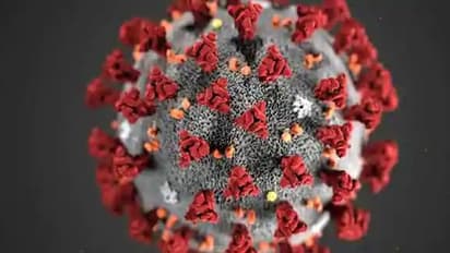 రూటు మార్చిన కరోనా: అమెరికాను వదిలి రష్యాలో తిష్ట!