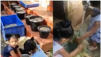 കുഞ്ഞ് കൃഷിപ്പണിയുമായി കുഞ്ഞ് ഇരട്ടക്കുട്ടികള്; ശ്രദ്ധേയമായി വീഡിയോ