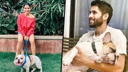 Samantha Akkineni, Naga Chaitanya are big animal lovers, throwback pics are proof enough