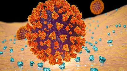Fact Check: Is religion-based mapping of COVID-19 patients being planned in India?
