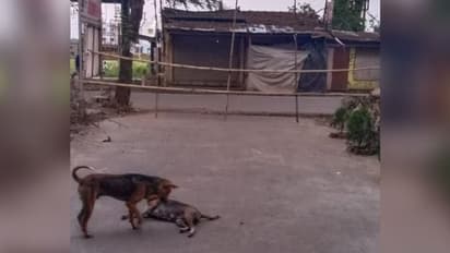 হুগলিতে ছড়াচ্ছে সংক্রমণ, চুঁচুড়ায় করোনায় আক্রান্ত মাঝ বয়সী ব্যক্তি